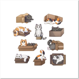 Lot of cats in boxes Posters and Art